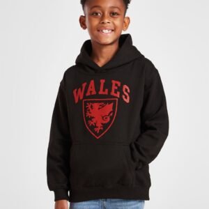 Team Wales Kids Hoodie