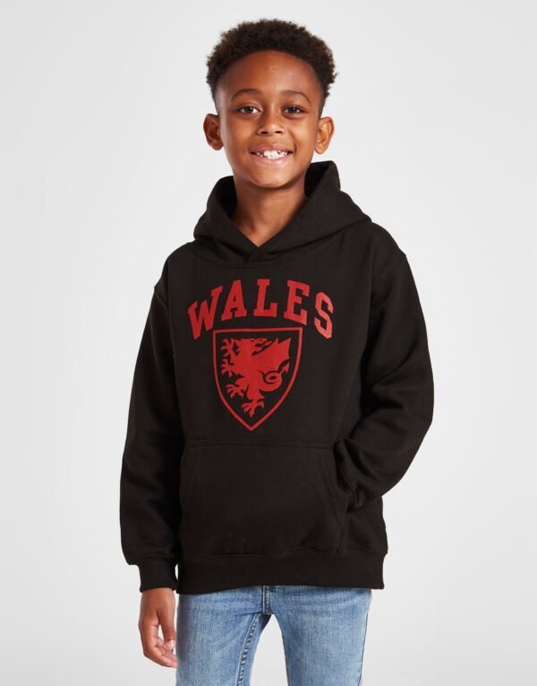 Team Wales Kids Hoodie